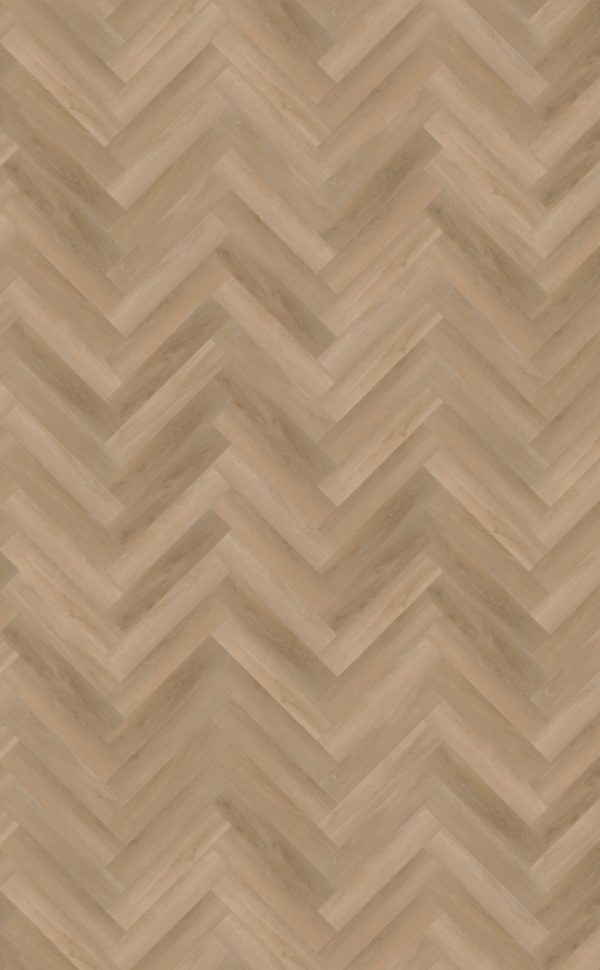 Belakos Attico Visgraat XL 81 Dryback