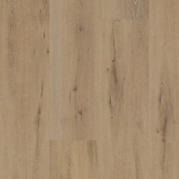 Belakos Attico 800 Dryback