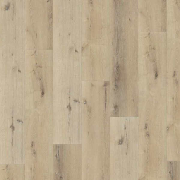 Belakos Palazzo 150 Dryback