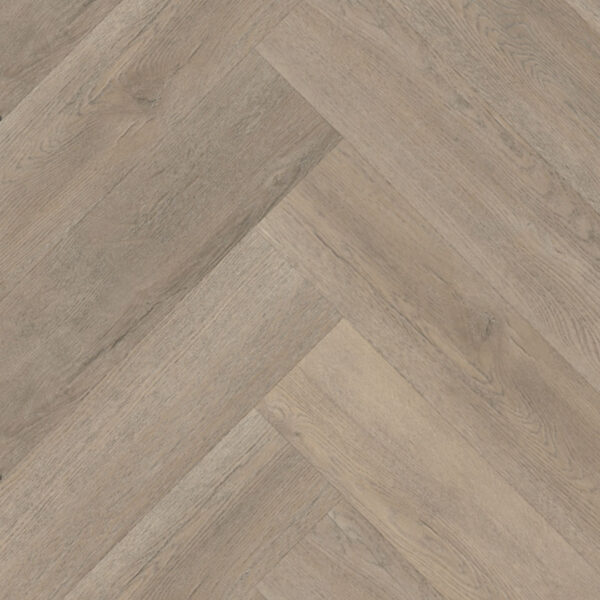 Belakos Palazzo Visgraat XL 70 Dryback