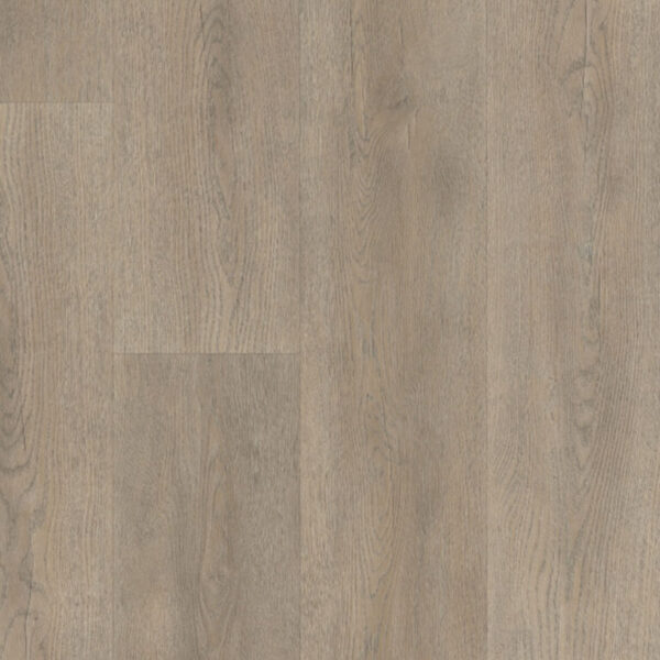 Belakos Palazzo 700 Dryback