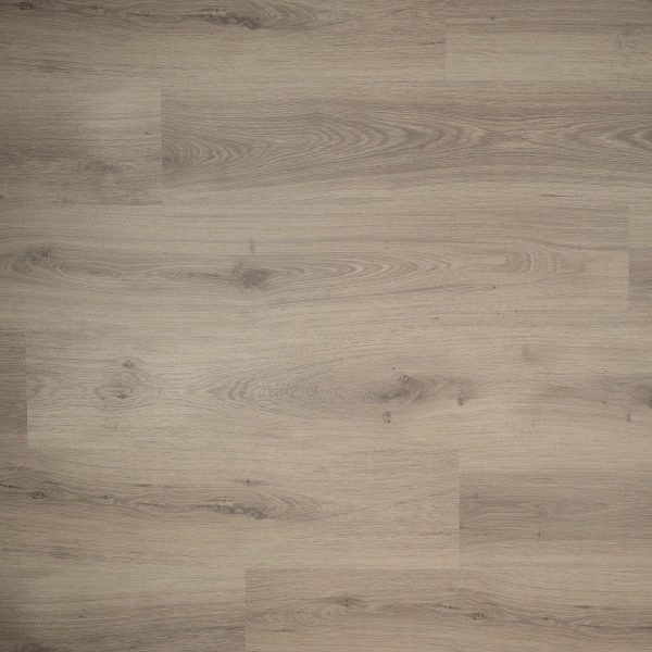 DD Plank Tijm