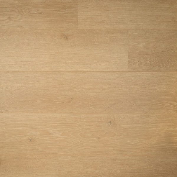 DD Plank kamille