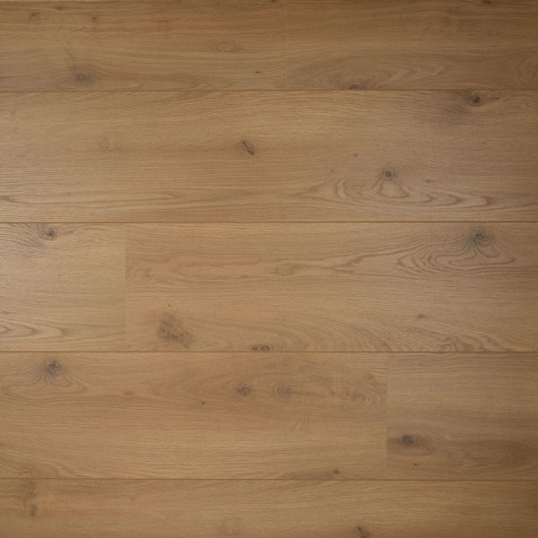 DD Plank Peterselie