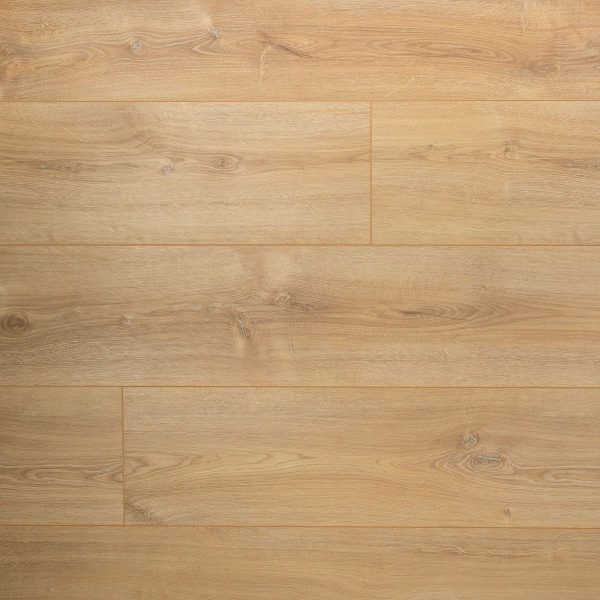DD Extra Lange Plank Basilicum