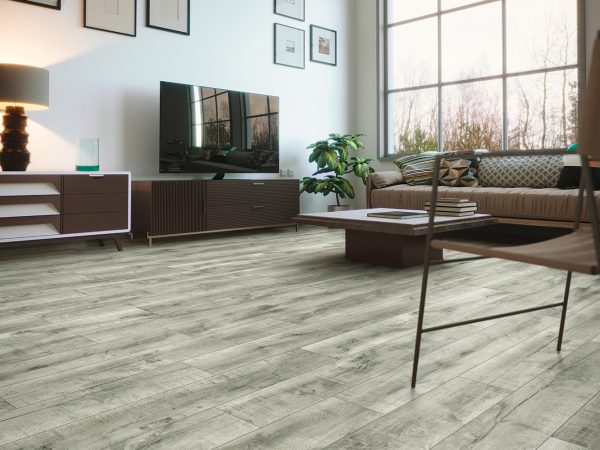 Van Hardeveld 5003