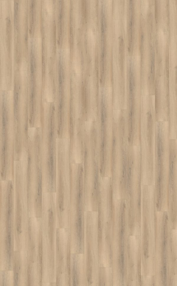 Belakos Palazzo 750 Dryback