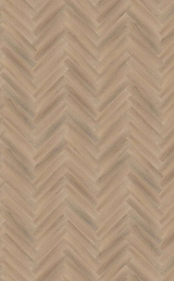 Belakos Palazzo Visgraat XL 76 Dryback